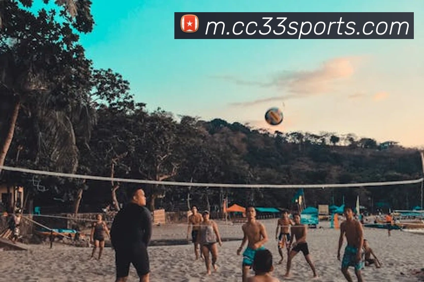 多媒体互动体验